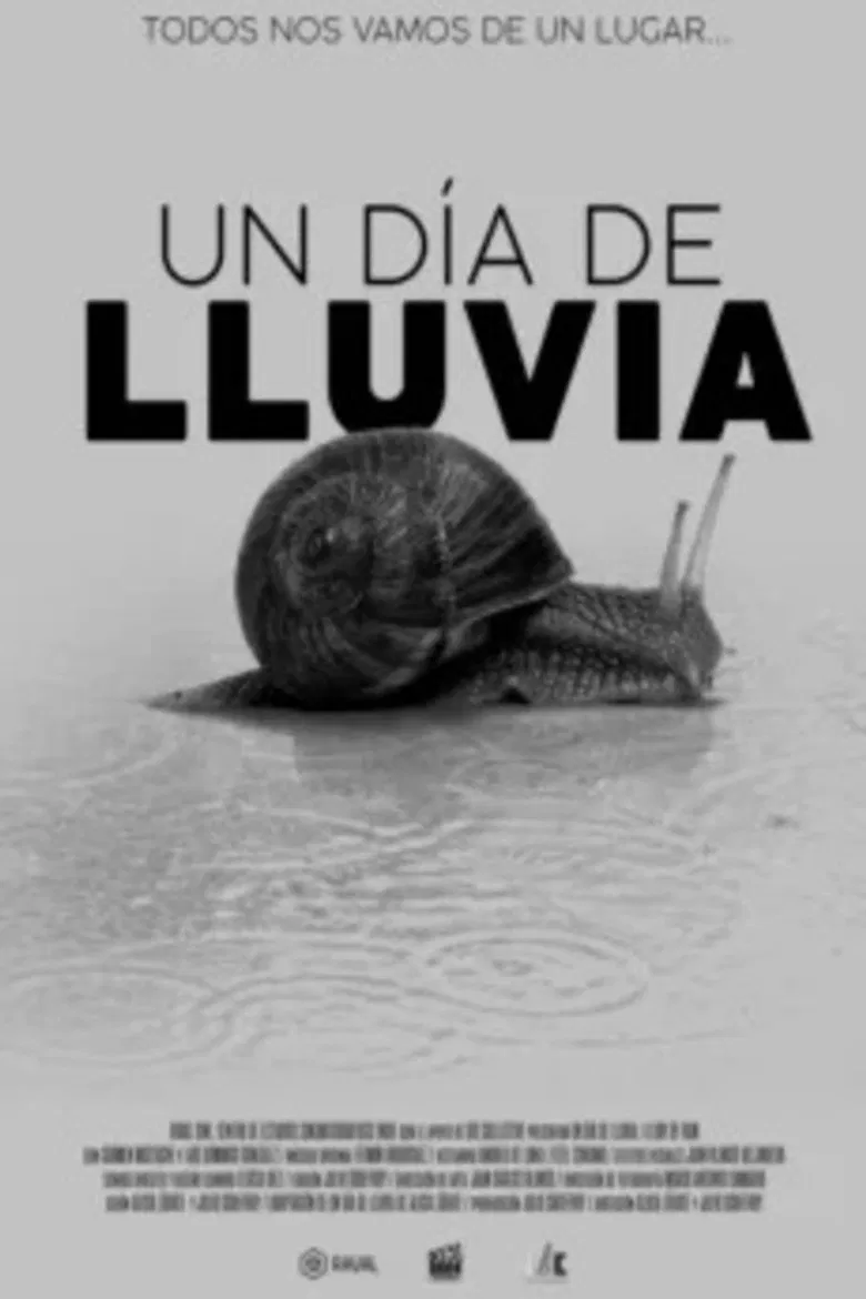 Un día de lluvia poster background