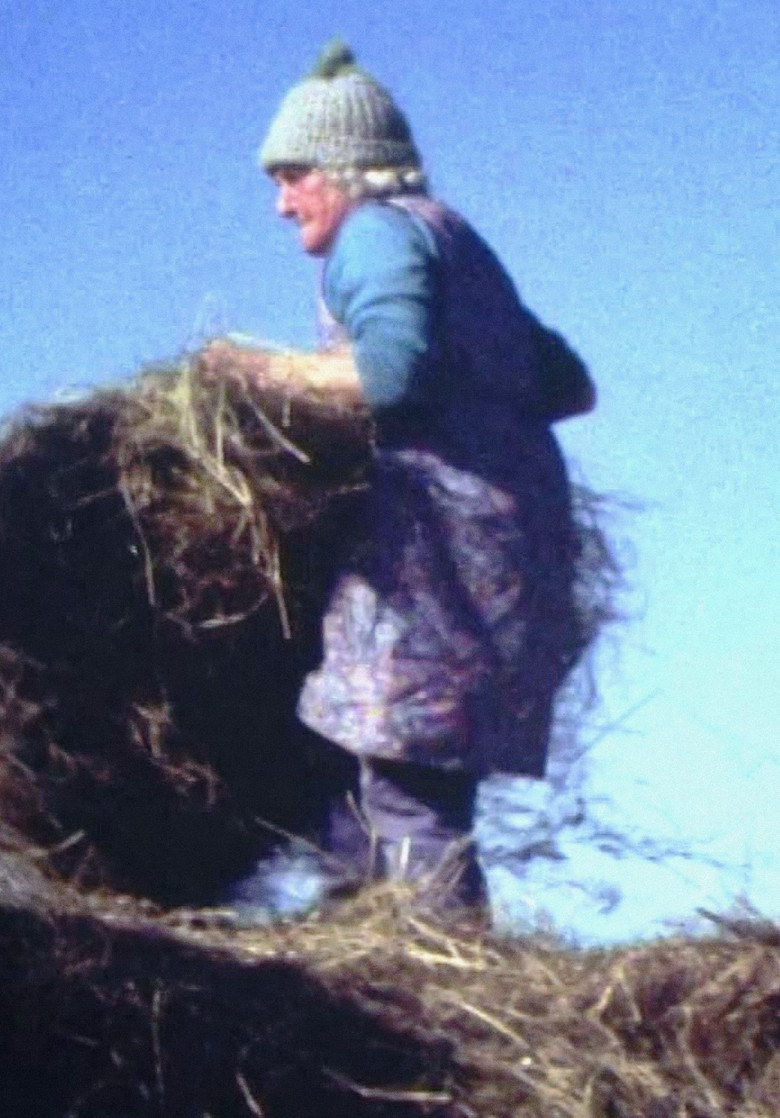 Land Makar poster background