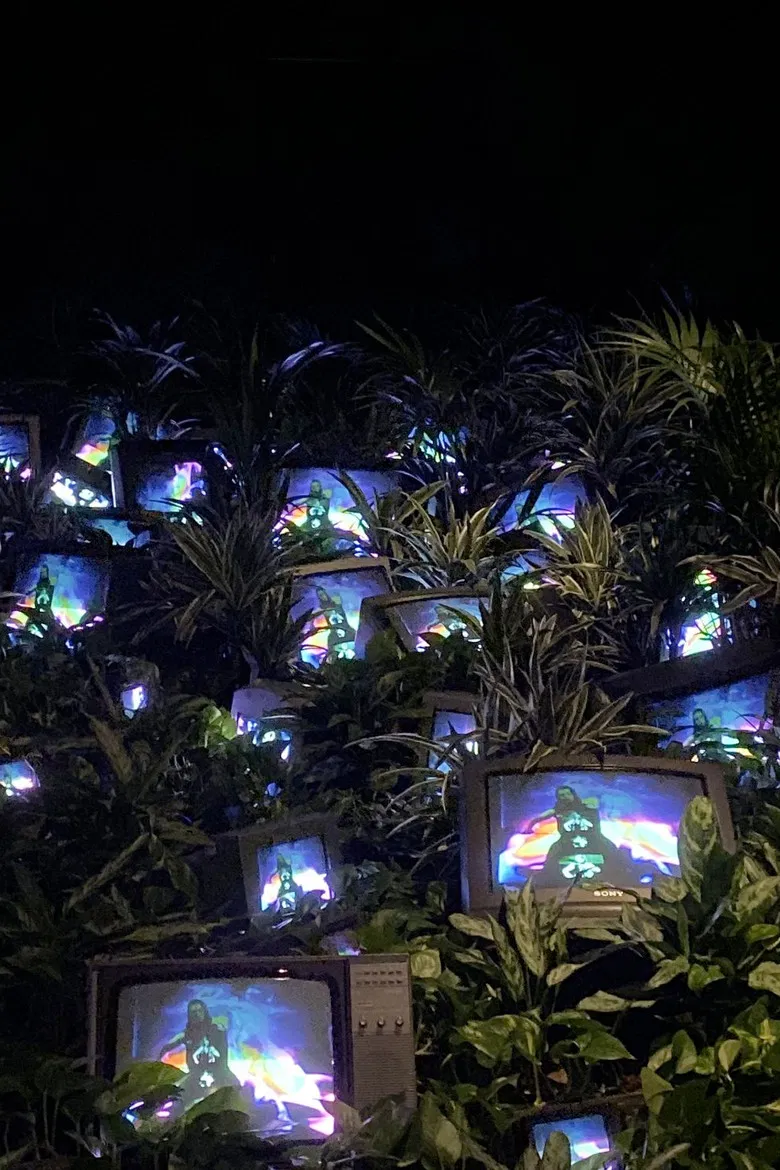 TV Garden poster background