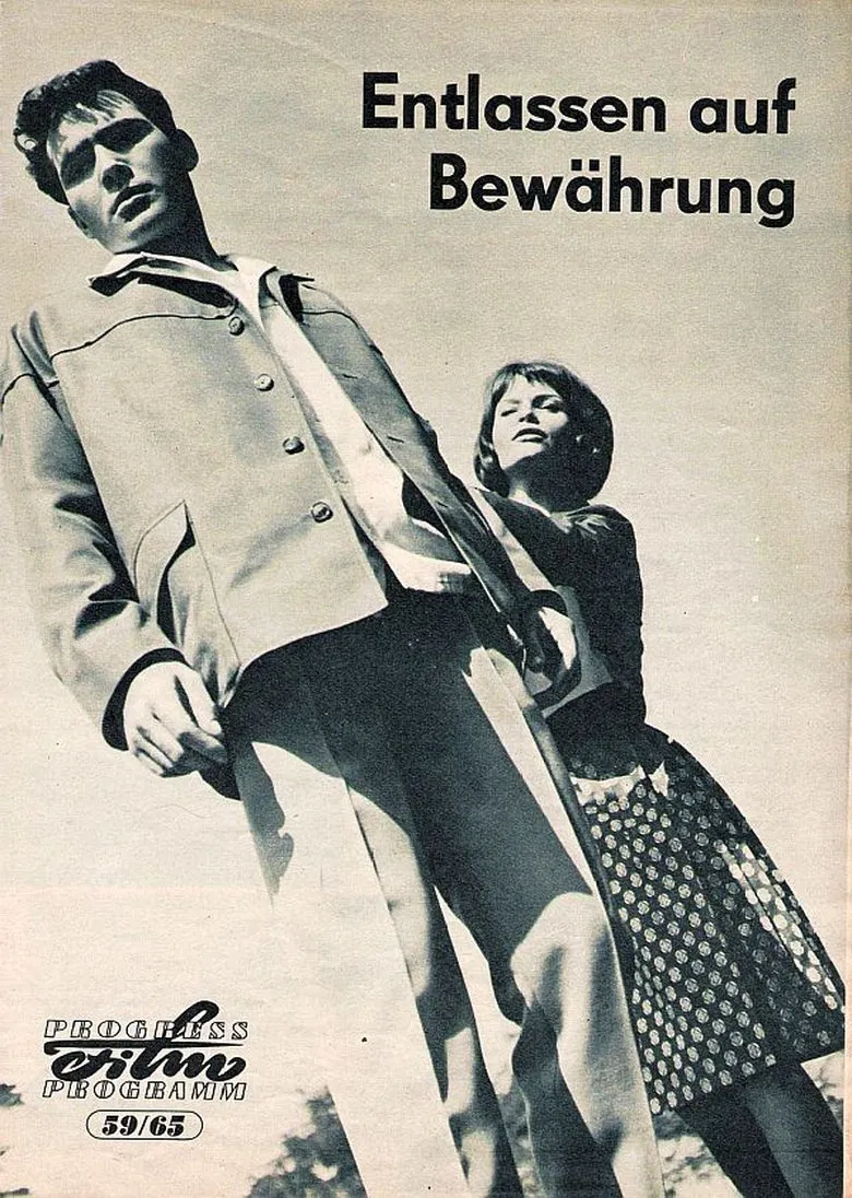 Entlassen auf Bewährung poster background