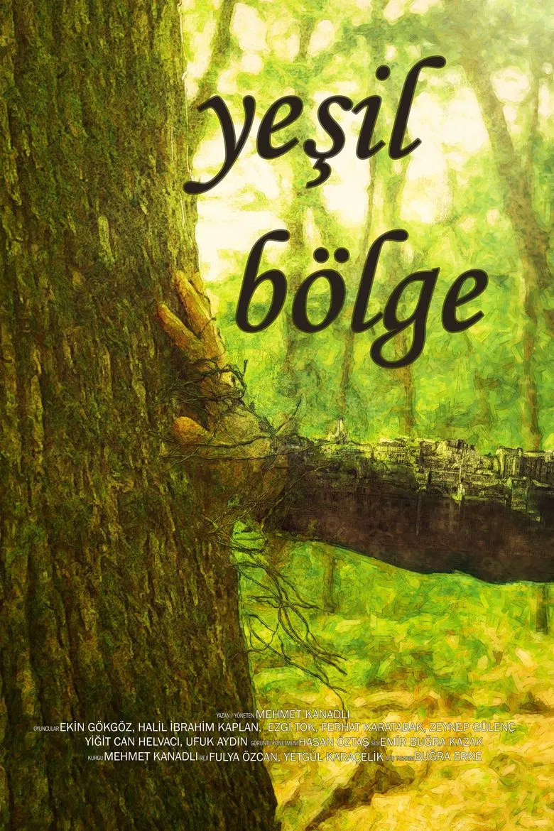 Green Zone poster background