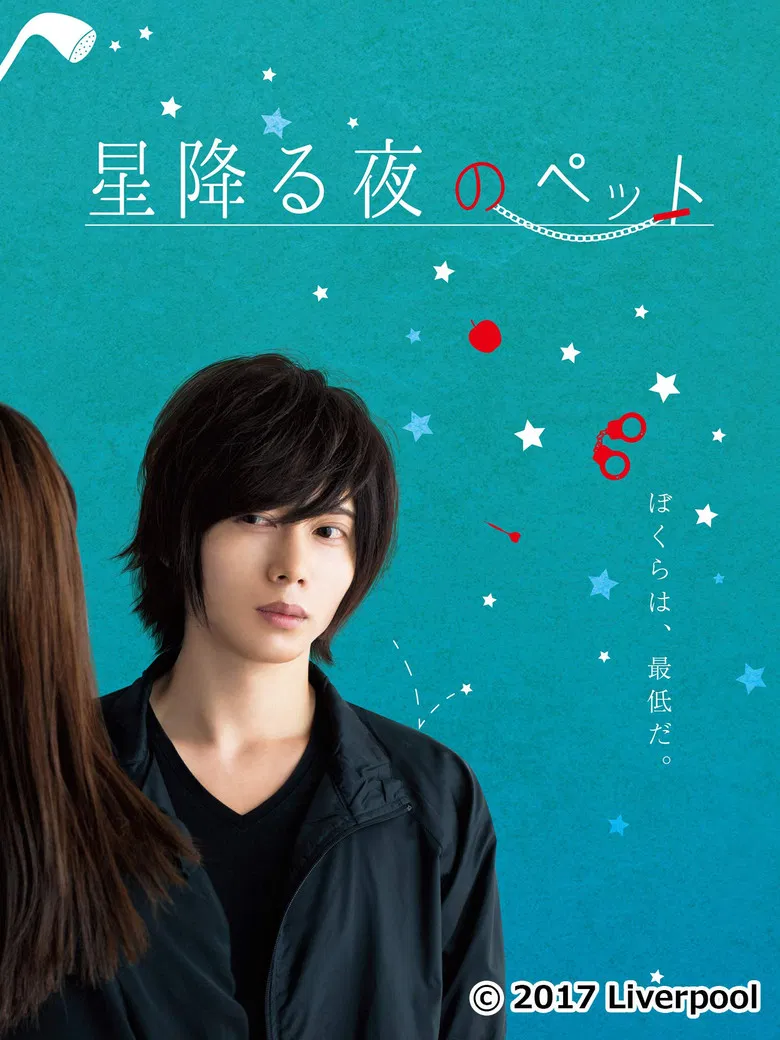 星降る夜のペット poster background