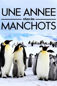 A Year With the Penguins poster background