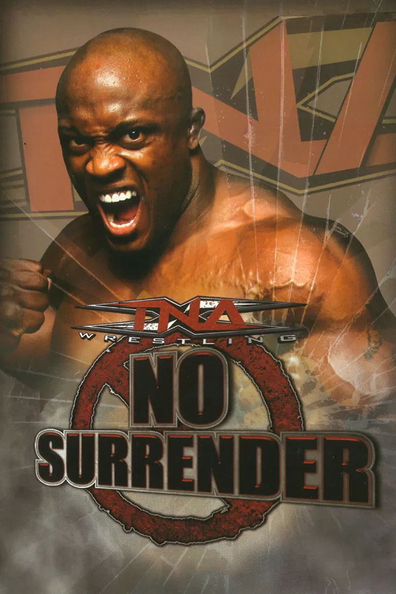 TNA No Surrender 2009 poster background