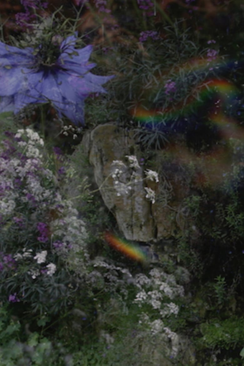 The Garden poster background