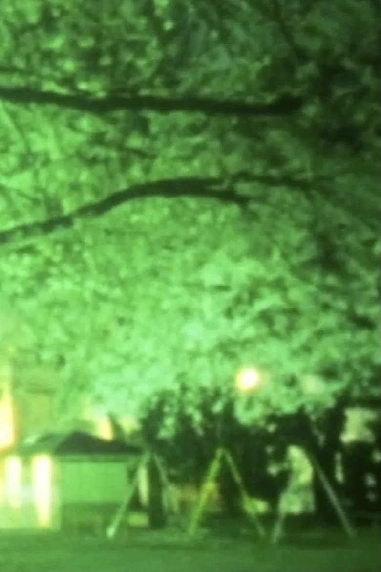 Pedestrians poster background