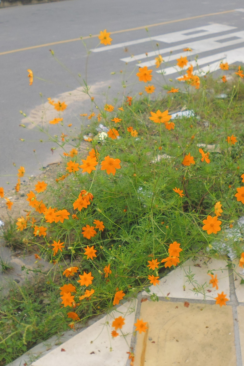 Memory poster background