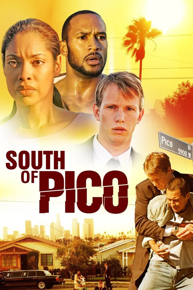 South Of Pico poster background